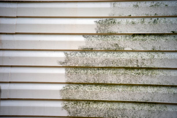 Best Yard Waste Removal  in Tonawanda, NY