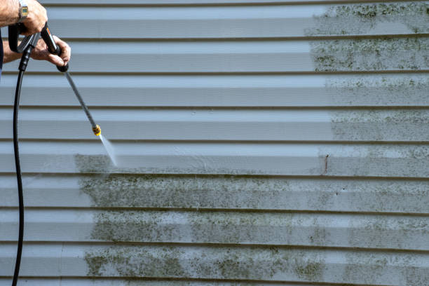 Best Basement Cleanout  in Tonawanda, NY