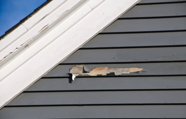 Same-Day Junk Removal Services in Tonawanda, NY